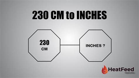 1 Easy Way To Convert 230 Cm To Inches