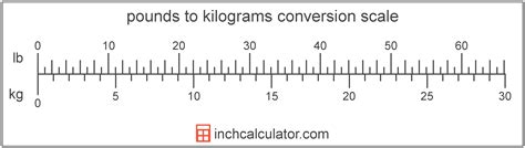 1 Simple Way To Convert 64.3 Kg To Lbs