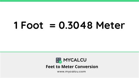 1.61 Meters To Feet Conversion Made Easy