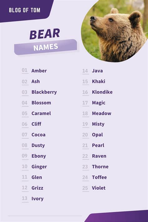 10 Amazing Bear Names And Their Meanings