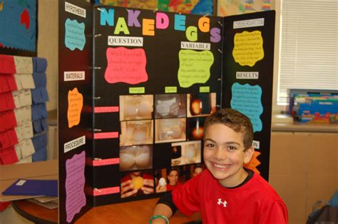 10 Easy Science Fair Ideas For 3rd Graders