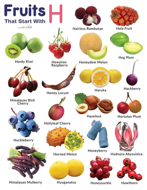 10 Fruits That Start With H