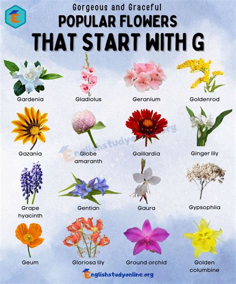 10 Gorgeous Flowers That Start With G