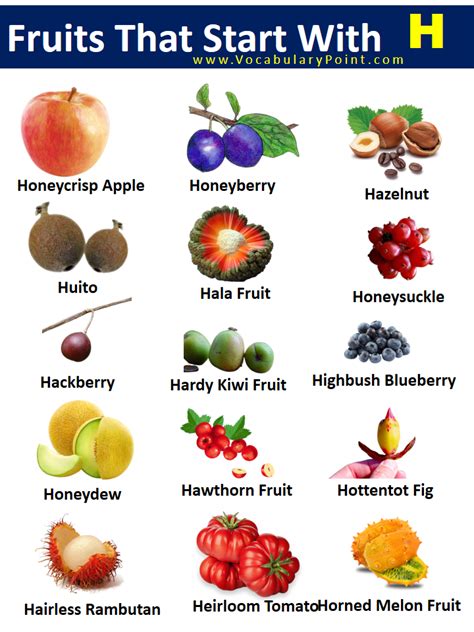 10 Healthy Fruits That Start With H