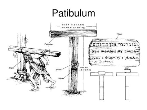 10 Insights Into Jesus Carrying The Patibulum