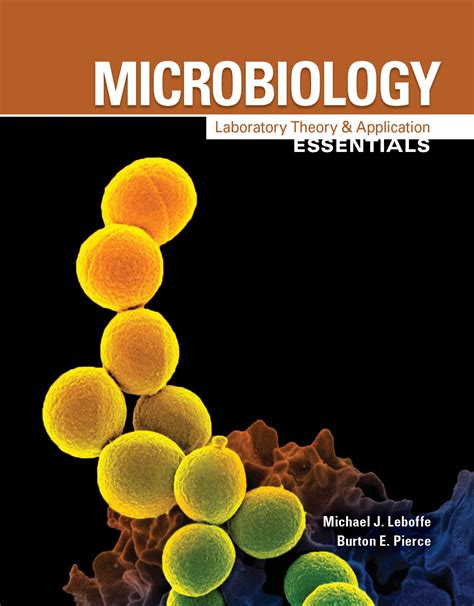 10 Tips For Mastering Microbiology Lab Theory And Application