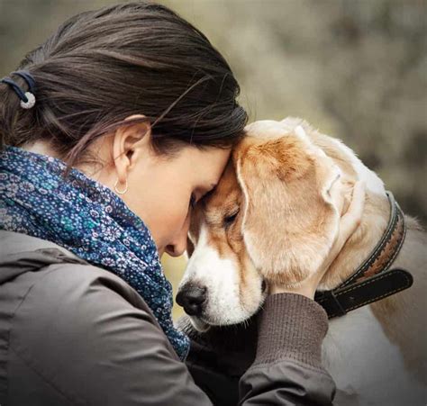 10 Ways Dogs Help Teenagers Overcome Anxiety