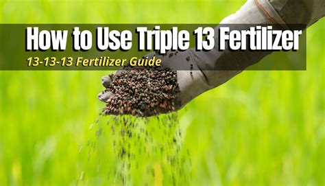 13-13-13 Fertilizer: 7 Application Rate Tips