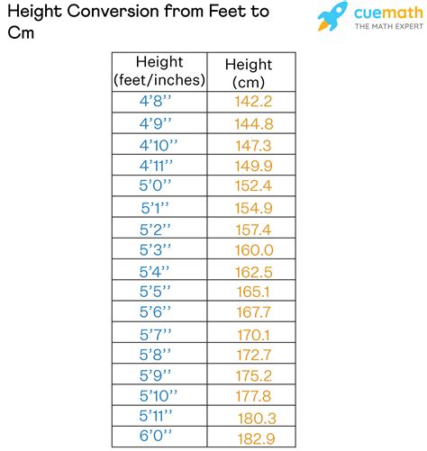 153 Cm To Feet Converter And Height Guide