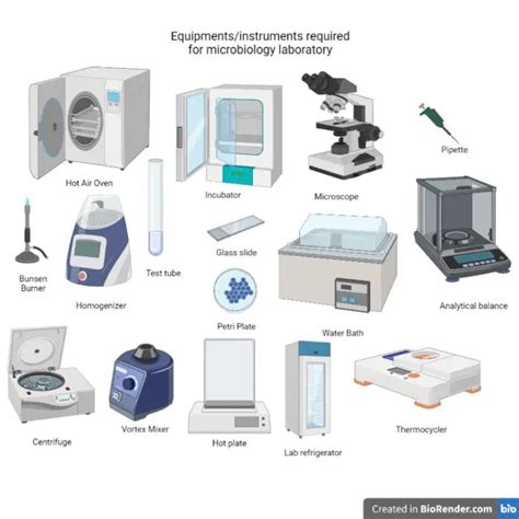 3 Essential Tools In Microbiology Lab Theory