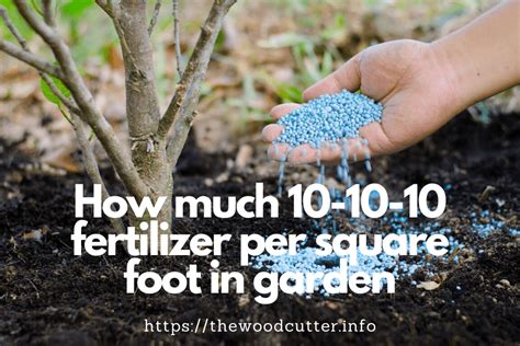 3 Steps To Apply 10 10 10 Fertilizer Correctly