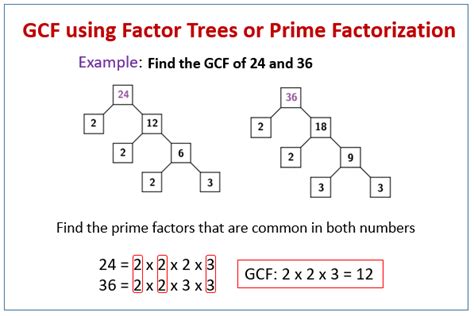 3 Steps To Find Gcf Of 24 And 32