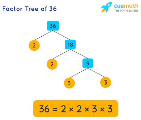 4 Ways To Find Common Factors Of 16 And 36