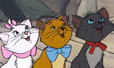 5 Aristocats Names For Kittens