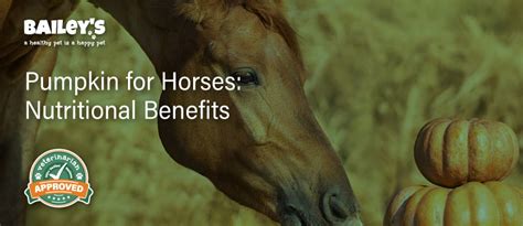 5 Benefits Of Feeding Pumpkin To Horses