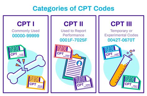 5 Essential Cpt Codes For Cast Application