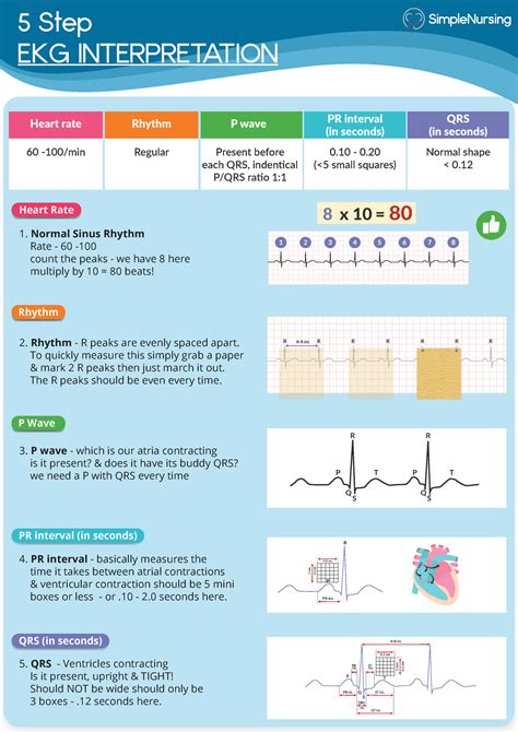 5 Essential Cpt Codes For Ekg Interpretation