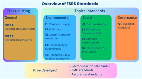 5 Essential Requirements For Esrs Application