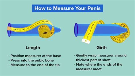 5 Facts About 6 Inch Penis Size