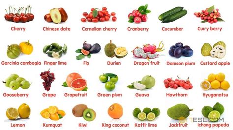 5 Fruits That Start With Ah