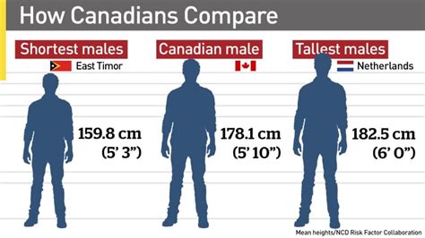 5 Ft 2 In: The Average Height For American Women