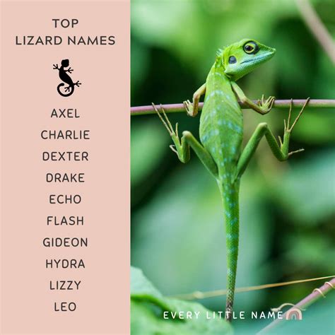 5 Funny Nicknames For Lot Lizards