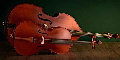 5 Key Differences: Double Bass Vs Cello