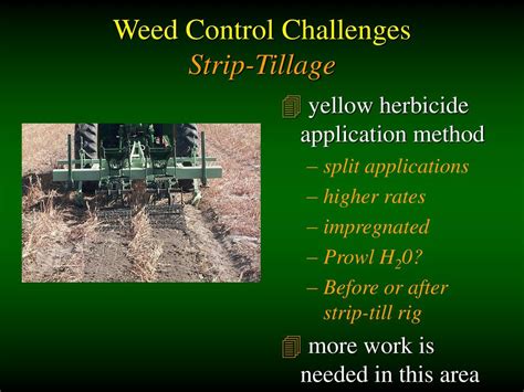 5 Key Prowl Herbicide Application Rates To Know