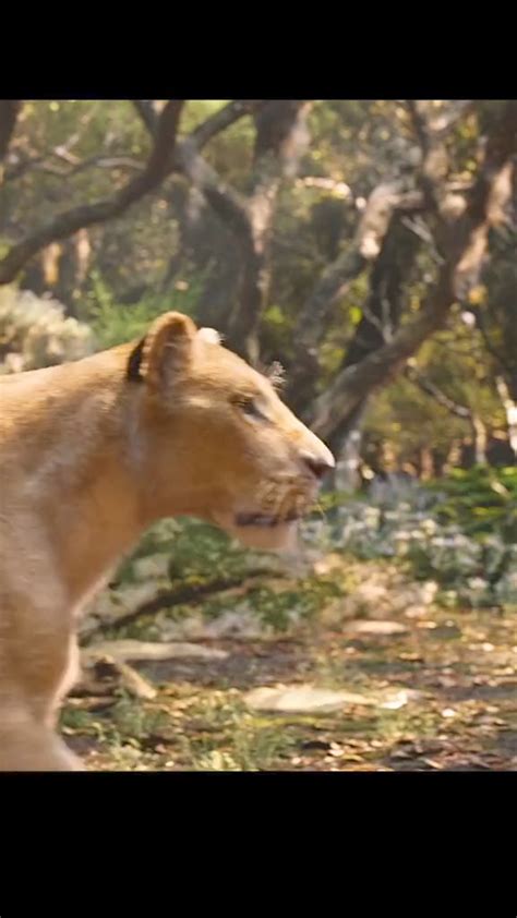 5 Meanings Of Nala You Need To Know