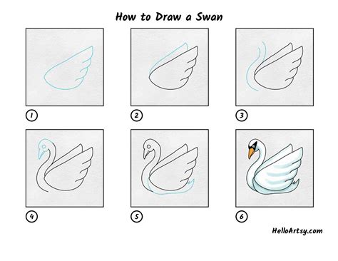 5 Steps To A Successful Swan Application