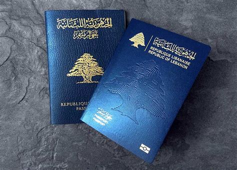 5 Steps To Apply For Lebanese Passport Online