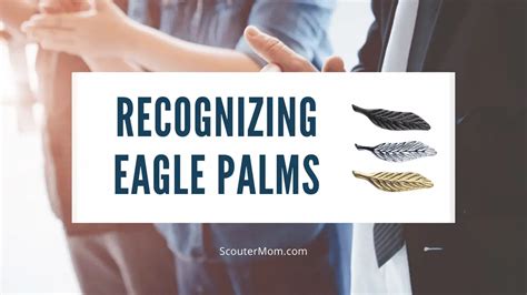 5 Steps To Eagle Palm Application Success