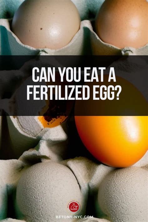 5 Things To Know About Eating Fertilized Eggs