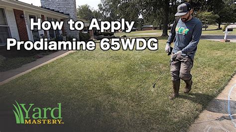 5 Tips For Effective Prodamine Fall Application