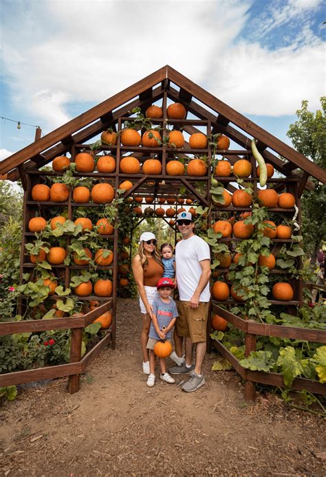 5 Tips For Live Oak Canyon Pumpkin Patch Application