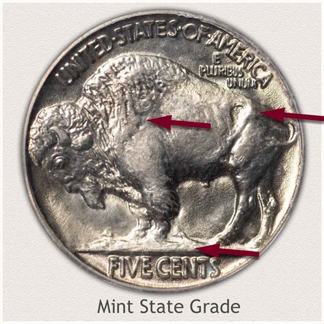 5 Tips To Determine 1936 Buffalo Nickel Value