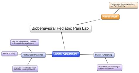 5 Tips To Land Biobehavioral Pain Lab Internship