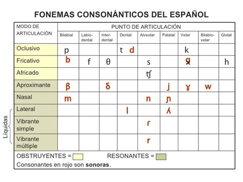 5 Types Of Sonoras In Spanish