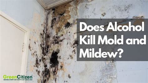 5 Ways Alcohol Kills Mold