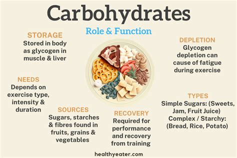 5 Ways Elephants Use Carbohydrates