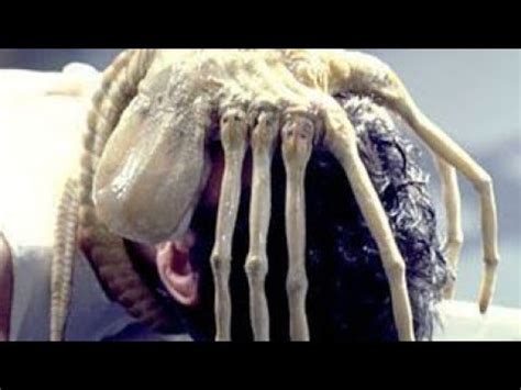 5 Ways Facehugger Sounds Can Kill