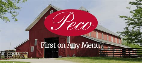 5 Ways To Ace A Peco Foods Job Application