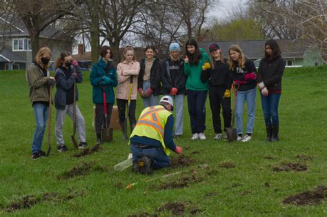 5 Ways To Apply For Tree Planting Canada First Year