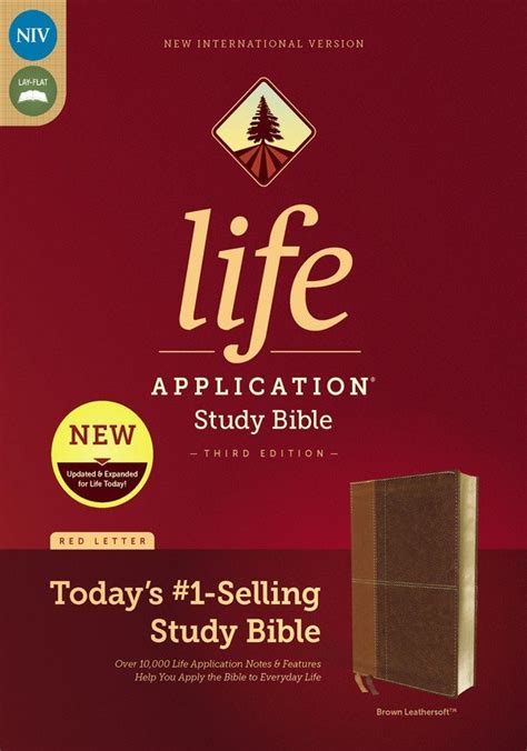 5 Ways To Apply Life Application Bible Niv