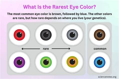 5 Ways To Determine Your Eye Color