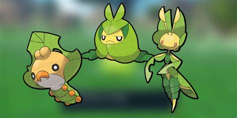 5 Ways To Evolve Swadloon