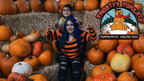 5 Ways To Get Hired At Frostys Pumpkin Patch