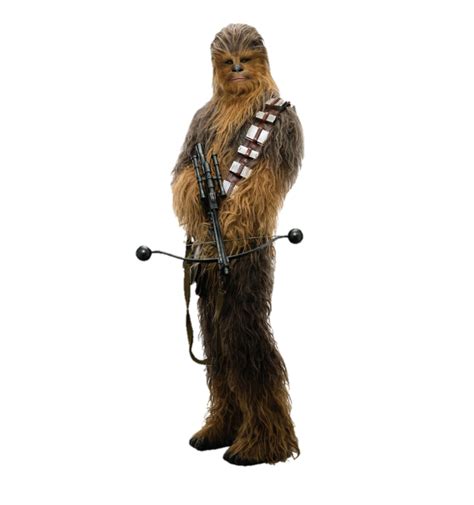 5 Ways To Master Wookiee Rookie In Star Wars Application