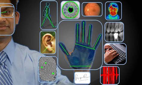 5 Ways To Proceed After Biometrics