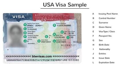 5 Ways To Remove Dependents From Us Visa Application